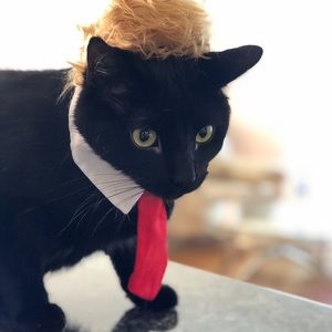 Meet your Posher, Yevgenya